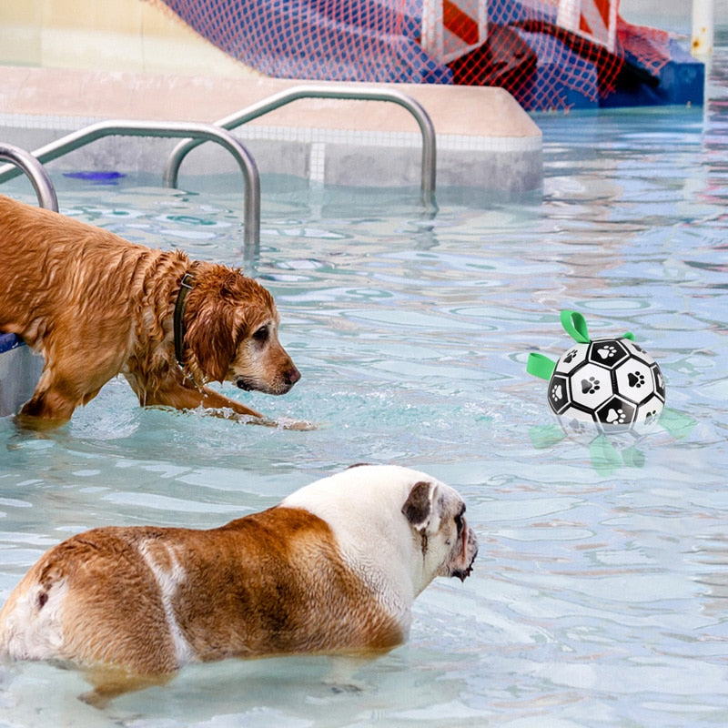 Dog Soccer Ball