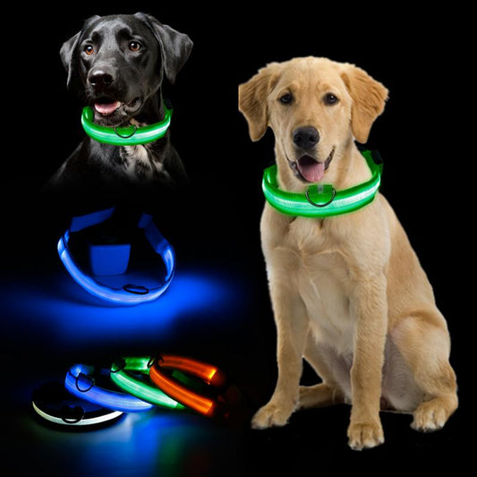 LED Dog Collar