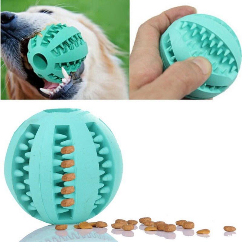 Dog Chew Toys