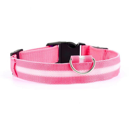 LED Dog Collar