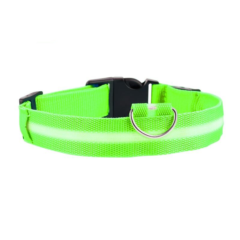 LED Dog Collar