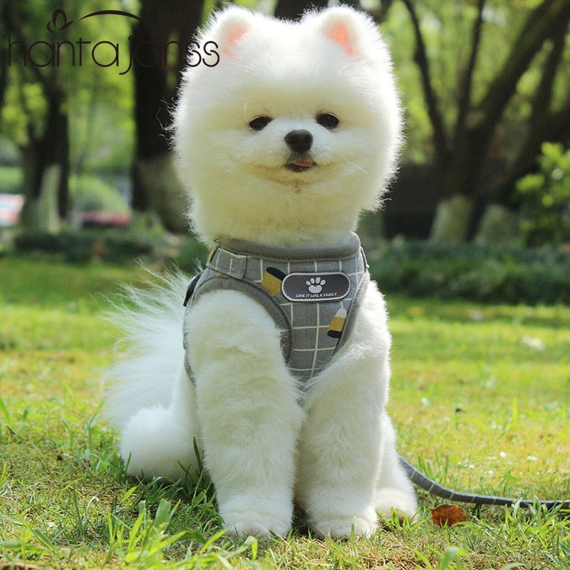 Adjustable Pet Collar