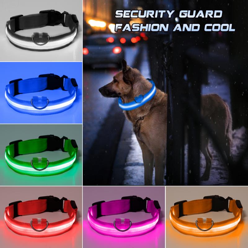 LED Dog Collar