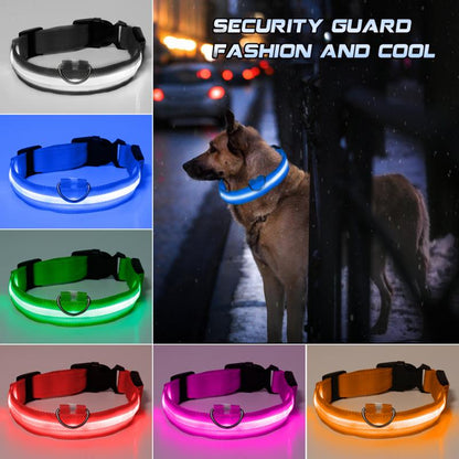 LED Dog Collar