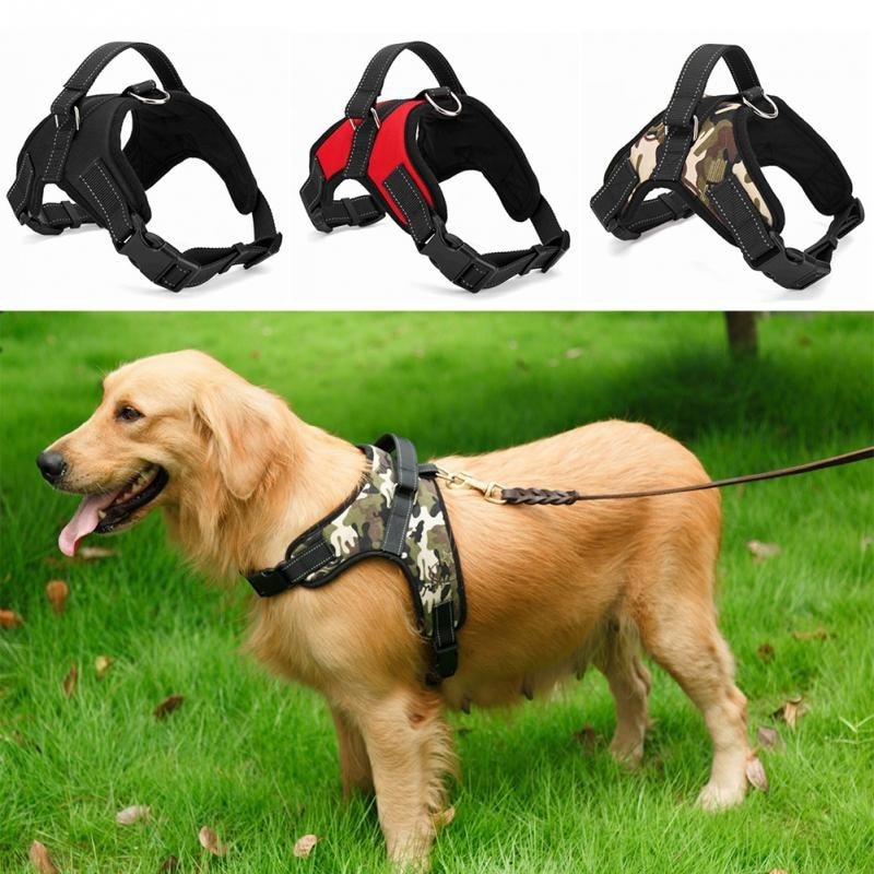 Adjustable Dog Harness
